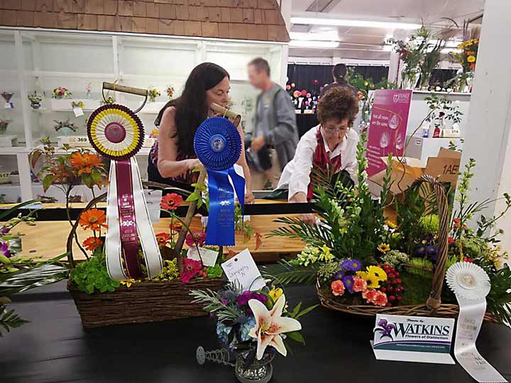 Best-of-Show-1