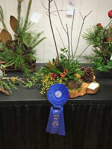 Blue-Ribbon-Winner