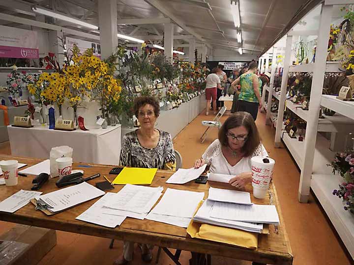 Registration-and-Judging